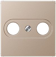 Лицевая панель Jung A creation для 2-м. розетки TV+R шампань картинка